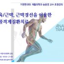 [11.08.토.전주] 근막경선이론 / 송윤경 교수 초청강의 이미지