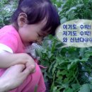 동촌농장 이미지