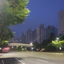 [등산] 설악산 봉정암 가는 길 - 우중산행 첫날