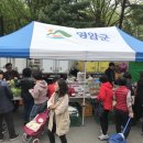 기찬흰민들레 영농조합법인 이미지
