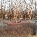 공간동백 이미지