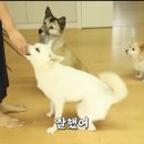 중사지농장 네이버블로그