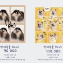 블루룸스튜디오