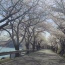 갱번마루 이미지