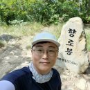 무주읍100 네이버블로그