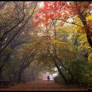 지리산에서 한 달 살기 이미지