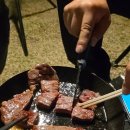 경북 문경야구장 캠핑장 솔직후기 무료 노지캠핑 차박 오토캠핑 벚꽃캠핑 명소