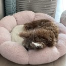 평천로74번길 이미지