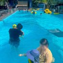 옐로우펜션민박 이미지