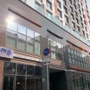 명동체육관 | 솔라고 호텔 명동 🏨 서울 가성비 호텔 디럭스 트윈 후기