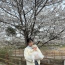 상동천 이미지