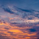 Dream to t 이미지