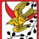 오월의꿈