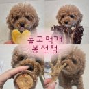반려동물수제간식창업 | [반려동물] 믿고 먹일 수 있는 반려동물 수제간식 후기｜봉선동 놀고먹개