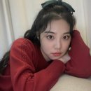 연아염색전문