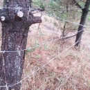 아름드리 목장 이미지