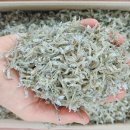 자연바다식품 이미지