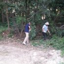 진섭농장 이미지