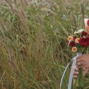 사파동201 이미지