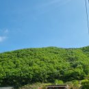 점재화장실2 | 🌄 등산일지#17. 100대명산 정선 백운산 동강뷰맛집 점재교 출발 등산 코스 후기