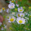 영산대학교(해운대) 이미지