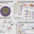 암세포 주변 물 분자만 가열하는 신개념 암 치료법 나왔다 이미지