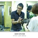 고탑헤어 이미지