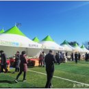 봉양축구장 이미지