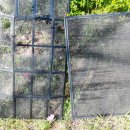 서림요양원 이미지