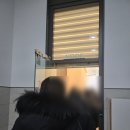디저트39시흥 - 시흥시 중심상가2길 12-8 | 배곧 두쫀쿠, 배곧 카페 누프 │ 윌로우 우드 두쫀쿠 후기 (+디저트39 두쫀쿠 후기)