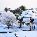 경기도 수원시 팔달구 수원천로392번길 이미지