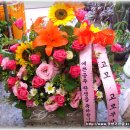 여성메디파크병원 이미지