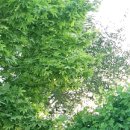 구천동한의원 이미지