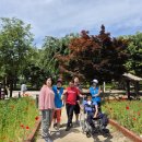 사선대마트 이미지