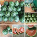 흑성산약수 이미지