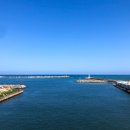 발리 | 속초 조개구이 맛집 청초호 근처 발리조개 오마카세 후기