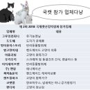 빙그루밍 이미지