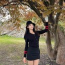 김서하 카카오 검색결과