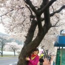 덕산기의아침 이미지