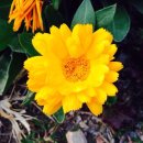 유창민박 이미지