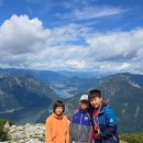 파이브 카카오 검색결과