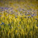 민행정사사무소 이미지