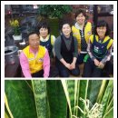 오리장군 이미지