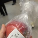 태이랩 | [19일 17박 유럽여행] 리스본에서의 3박4일