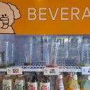 피터펫 미사점 이미지