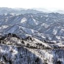 비무장지대 이미지