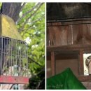 새소리 물소리 이미지