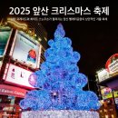 앞산공원관리소 내 | 대구 앞산 크리스마스 행사 2025 일정 및 주차 정보 총정리