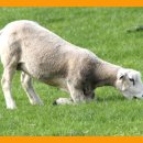 홍길동숲마을 이미지