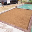 동천초교 병설유치원 이미지